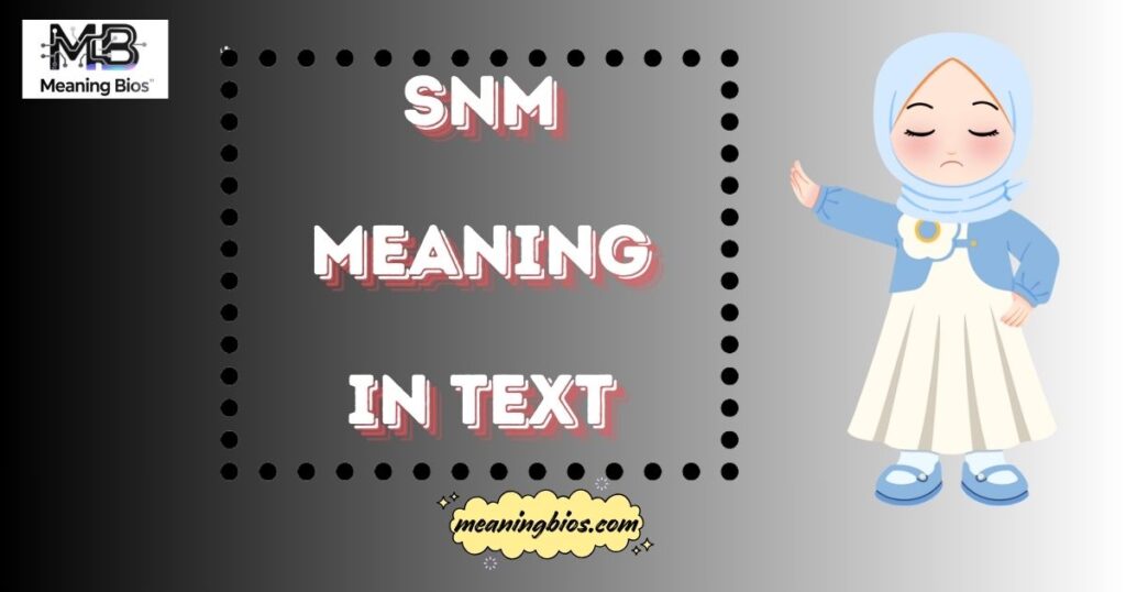 SNM Meaning in Text