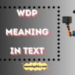WDP Meaning in Text Uncovered for Social Media Lovers