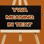 YWA Meaning in Text: Is It a Slang, Typo, or Hidden Phrase?
