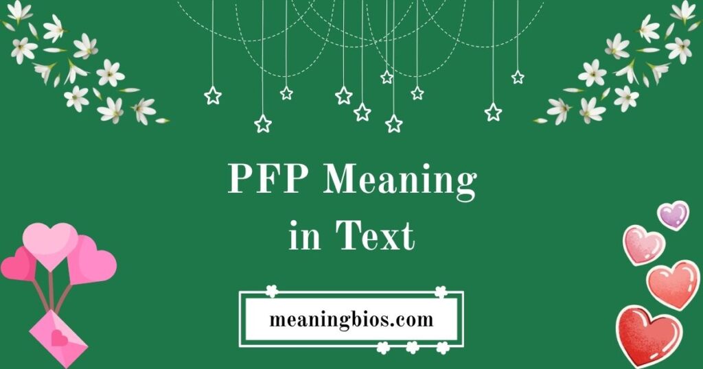 PFP Meaning in Text