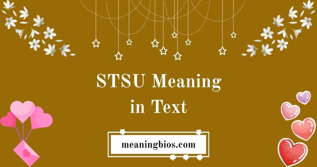 STSU Meaning in Text