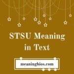 STSU Meaning in Text Ultimate Guide – Discover What This Slang Really Means
