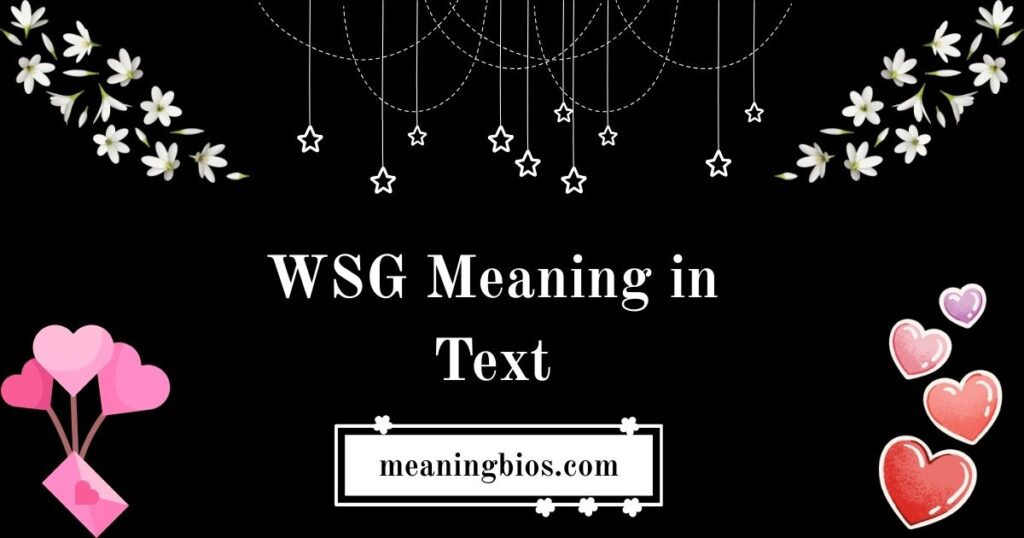 WSG Meaning in Text