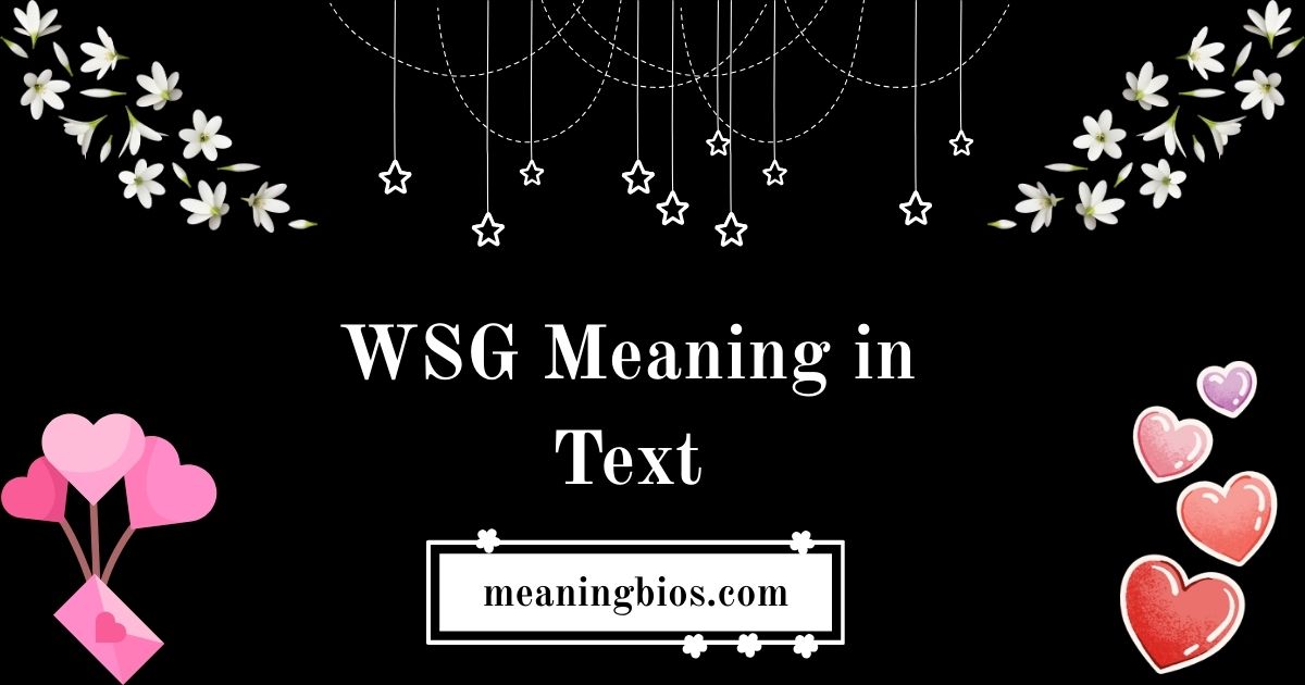 WSG Meaning in Text