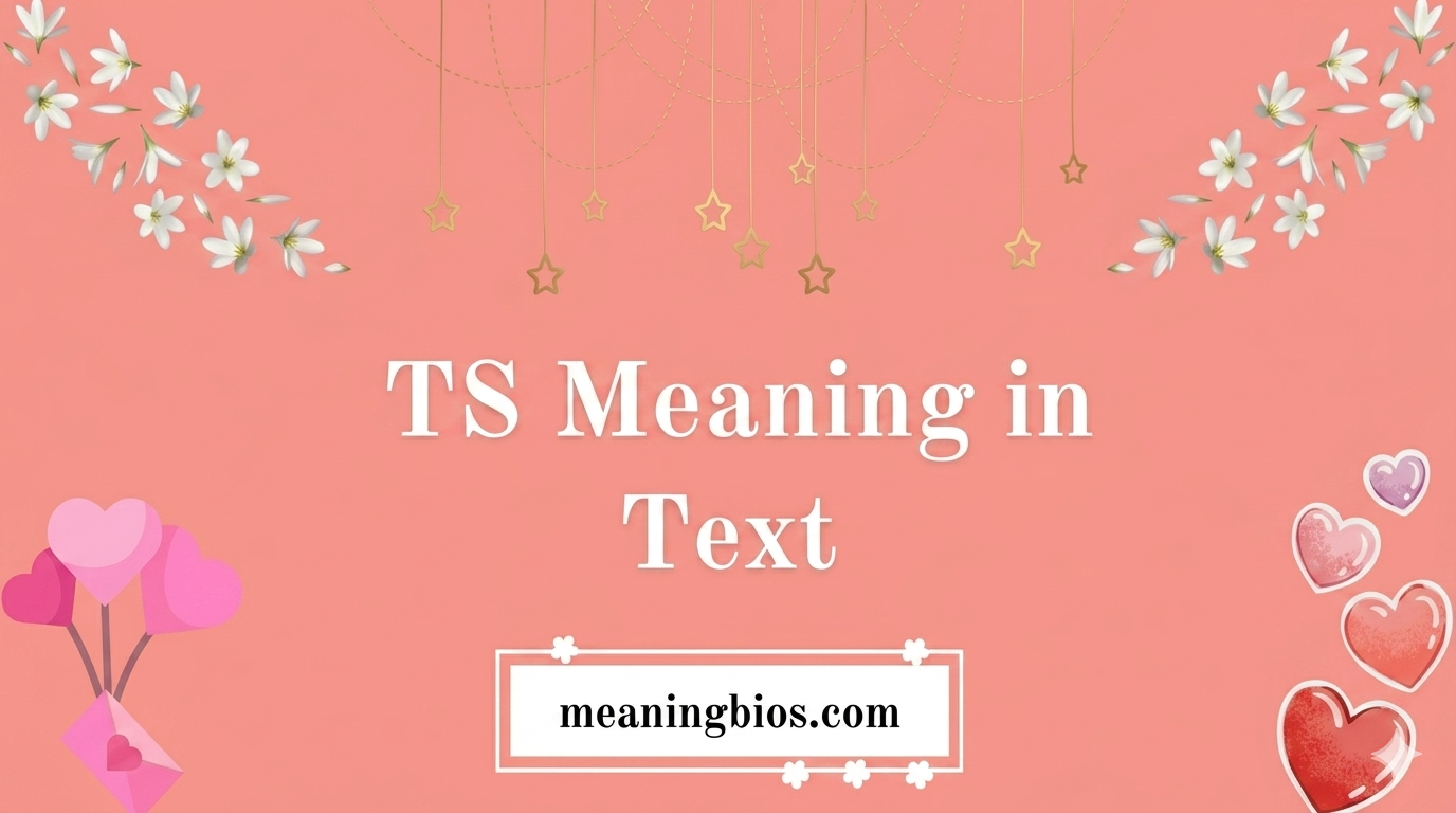 TS Meaning in Text What Does It Actually Mean