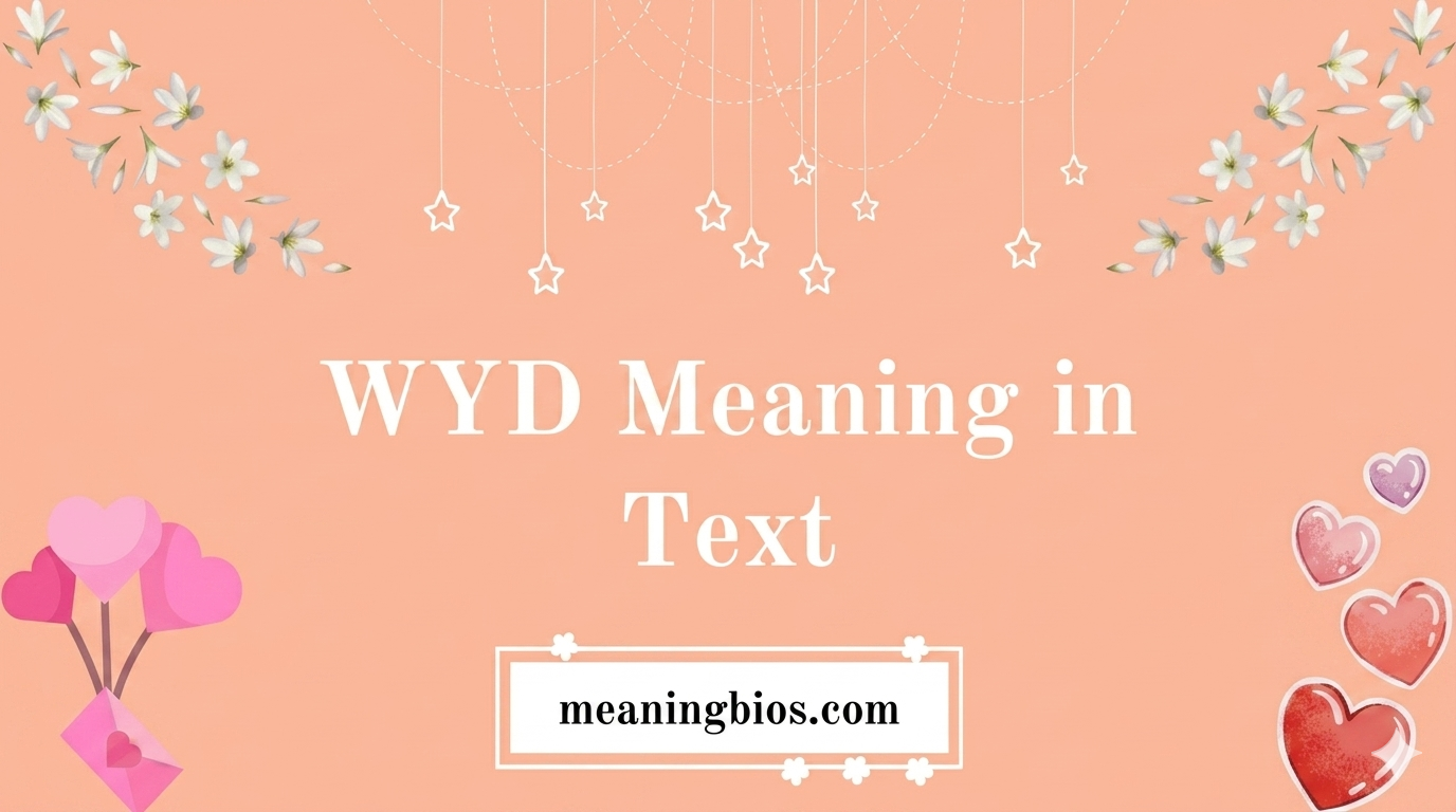 WYD Meaning in Text What It Is and How People Use It